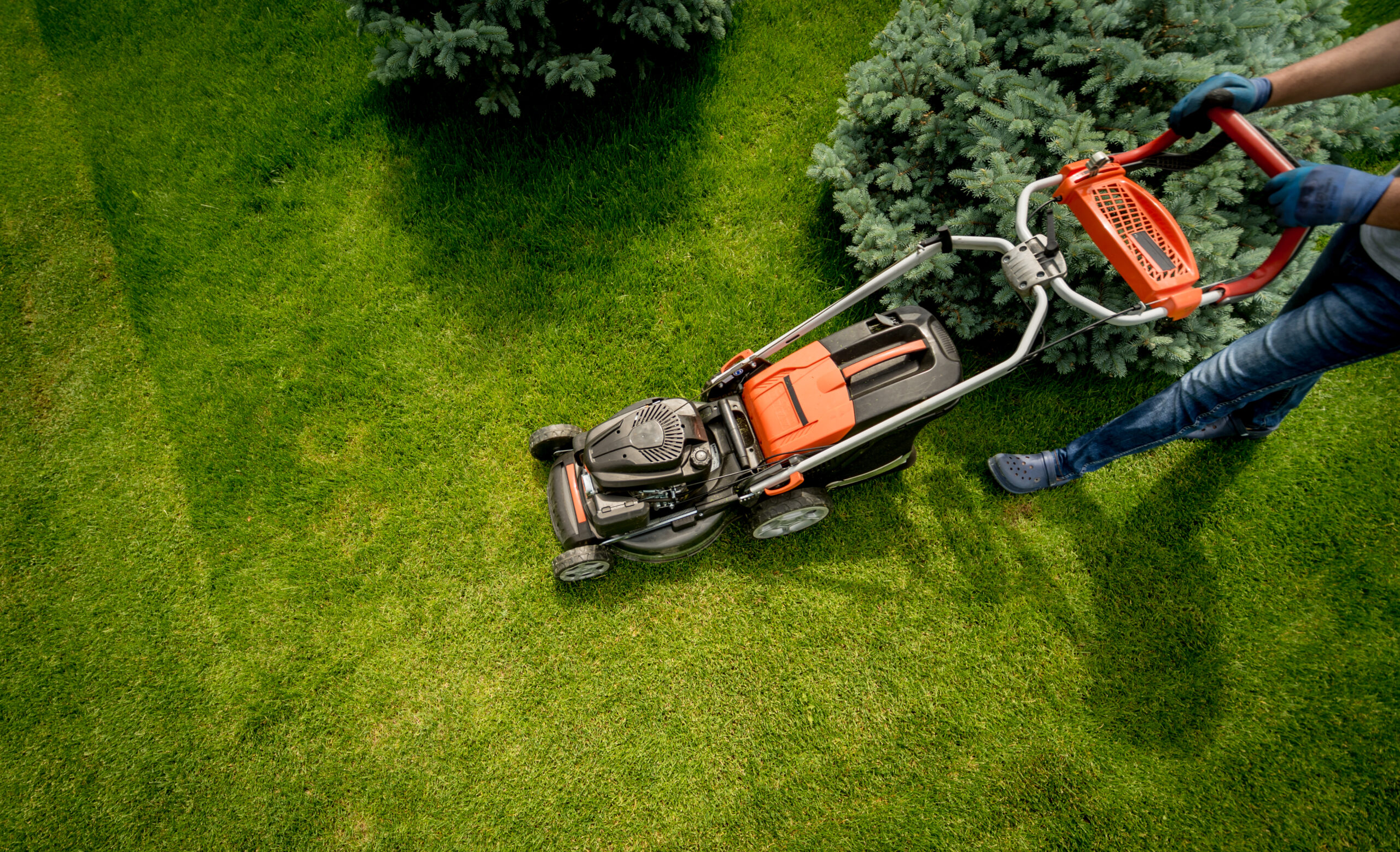 Gartenpflege mit dem Rasenmäher